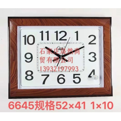 康巴絲  6645掛表